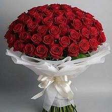 Букет 101 Красная роза Блэк Мэджик в Городце