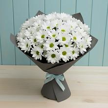 Букет цветов из:  Хризантемы #REPLACE_PRED# Городце
