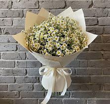 Букет цветов из:  Ромашки в Городце
