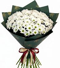 Букет цветов из:  Хризантемы #REPLACE_PRED# Городце