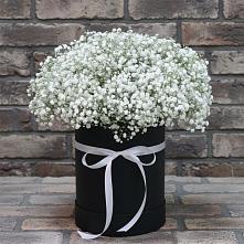 Цветочная композиция из Гипсофила в шляпной коробке #REPLACE_PRED# Городце