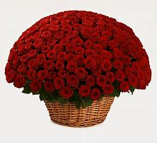 Премиум букет из: Розы в Городце